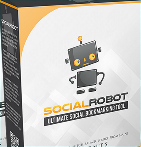 social robot